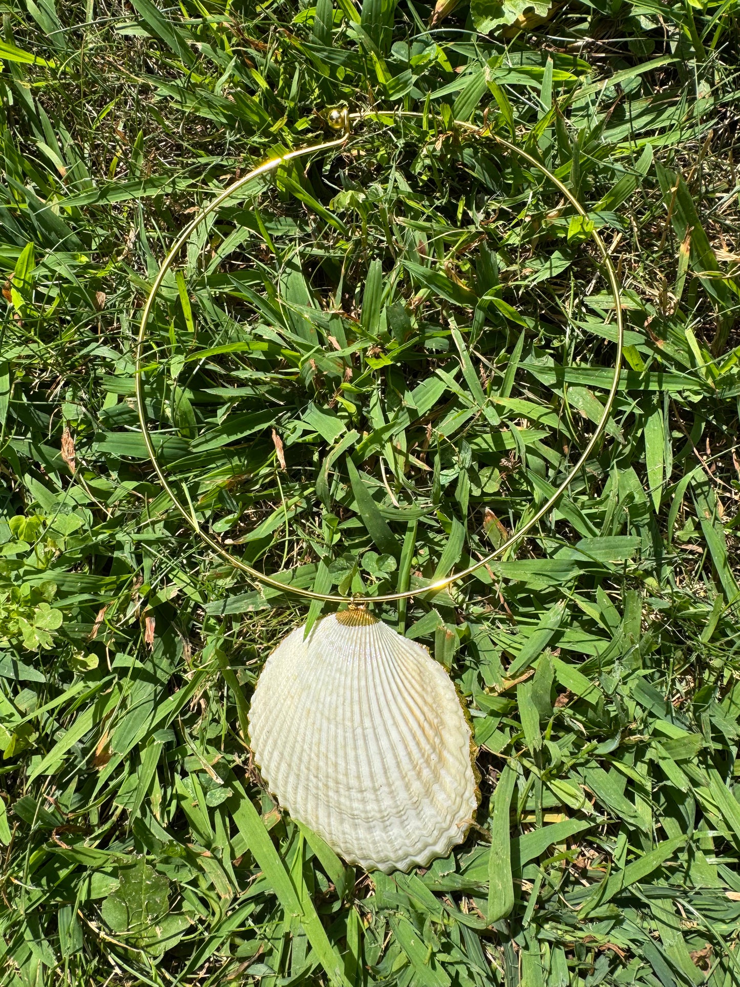 Large Shell Necklace